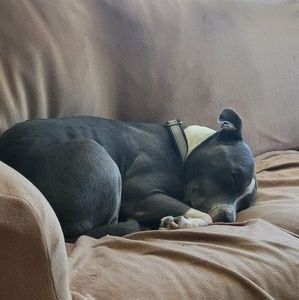 Meet your Posher, Adam